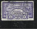 TRIPOLITANIA 1933 CROCIERA ZEPPELIN LIRE 5 TIMBRATO - Tripolitaine