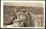 Pembrokeshire West Wales Ca. 1940 - Pembrokeshire