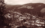 Südl. Hochschwarzwald 800m - St. Blasien