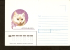 Russia Envelope Cover - Angora Cat Fauna Animal - 1991 - Brieven En Documenten