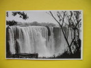 Victoria Falls A View Of The Main Falls From The Rain Forest - Zambia