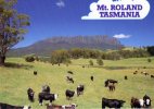 Mt. Roland, North-West Tasmania, Rich Dairying Area - Unused, Tas. Postcards - Andere & Zonder Classificatie