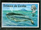 TRISTAN DA CUNHA BALEINE - Wale