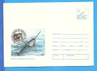 Polar Fauna. Whale. ROMANIA Postal Stationery Cover 1994. - Baleines