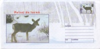 Fauna - Herten / Deer / Cerf - Gibier
