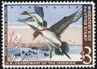 US RW29 XF Mint Never Hinged Duck Stamp From 1962 - Duck Stamps