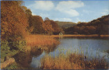 ANGLETERRE / ENGLAND - RYDAL,  WATER TOWARDS WANSFELL - Other & Unclassified