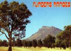 Flinders Ranges, SA,  Road Near Wilpena Pound Unused - Other & Unclassified