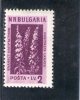 BULGARIE 1953 ** CAT EURO 11.5 - Nuevos