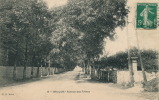 BRULON - Avenue Des Frênes - Brulon