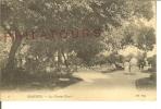 ISSOUDUN  / LES CHAMPS-ELYSEES   1907 - Issoudun