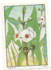 Image : Flèche Des Eaux Ou Sagittaire  /  ( Botanique Plantes Plante Végétaux Fleur )  //  IM K-26/15 - Nestlé