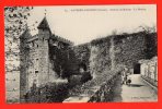 SAINT PIERRE D'ALBIGNY - Chaterau De Miolans - Le Donjon. (animation) - Saint Pierre D'Albigny