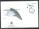 Süd-Afrika  1998  " Wal  Balaenoptera Edeni " ,   FDC  Des W W F - Baleines