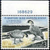 US RW31 XF Mint Never Hinged Duck Stamp From 1964 - Duck Stamps