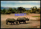 Rhinocéros -   Afrique   -Réf : 19541 - Rhinoceros