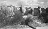 56 CPSM Carnac Alignements Megalithiques De Kermario - Dolmen & Menhire