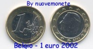 BELGIO BELGIQUE 1 EURO 2002 DA DIVISIONALE FDC - Belgien