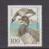 Allemagne. Germany. 1991  Bernache Cravant ( Branta Bernicla )** - Gansos