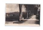 66 PRADES Route De Catllar, Ed Sinthe, 1926 - Prades