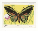 2 Cartes PAPILLONS " PRIAM " ET " ARMANDIE " :lépidoptère ,insectes - Butterflies