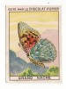 2 Cartes PAPILLONS " MACHAON "  ET " GRAND NACRE "  (au Dos Publicité Chocolat Pupier) - Butterflies