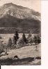 CP, 64, Laruns, Alt.254m., Vallée D'Ossau, Vue Générale, 1951, Voyagée - Laruns