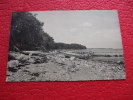 Schleswig Holstein , Insel Fehmarn - Kuste Bei Katharinenhof 1953 Verlag L. Willbrandt - Fehmarn