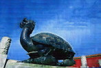 AN01-047   @  Stone Turtle  Tortue Schildkröten Tortugas ,    ( Postal Stationery , Articles Postaux ) - Turtles