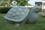 AN01-051   @  Stone Turtle  Tortue Schildkröten Tortugas ,    ( Postal Stationery , Articles Postaux ) - Schildpadden