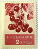 Bulgaria 1956 Fruits Cherries 2s - Mint Hinged - Usados