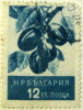 Bulgaria 1956 Fruits Plums 12s - Used - Oblitérés