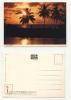 Mint Post Card From Bahama Islands - Altri & Non Classificati