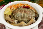 AN01-099   @  Food Dishes  Turtle  Tortue Schildkröten Tortugas ,    ( Postal Stationery , Articles Postaux ) - Schildpadden