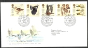 1996 GB FDC THE WILDFOWL &  WETLANDS TRUST - 001 - 1991-2000 Em. Décimales