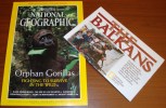 National Geographic U.S. February 2000 Orphan Gorillas Fighting To Survive In The Wild - Viajes/Exploración