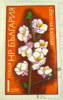 Bulgaria 1975 Fruit Tree Blossoms Apple 1s - Used - Gebraucht