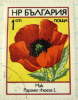 Bulgaria 1973 Poppy Papaver Rhoeas 1s - Used - Gebraucht