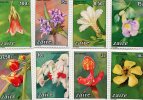 Zaire 1984.8v.MNH** Flowers.Fleurs.Scaevola Plumieri.Thumbergia Erecta.Canarina Eminii.Clerodendron.Borreria.Impatiens. - Ongebruikt