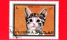 FUJEIRA - 1970 - GATTO - CAT - Felis Silvestris Catus - 1 RL - Fujeira