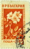 Bulgaria 1953 Wild Rose 12s - Used - Oblitérés