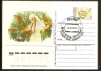 Russia RUSSIE Russland Painter Plastov - Stamped Stationery