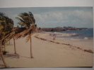 596 SAM LORDS BEACH ST. PHILIP BARBADOS POSTCARD   OTHERS IN MY STORE - Barbados