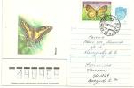 Registered Cover Uzbekistan ( Butterfly Stamp ) 1993 - Ouzbékistan