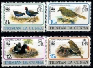 TRISTAN DA CUNHA 4v NEUFS ** WWF  MNH OISEAUX - Tristan Da Cunha