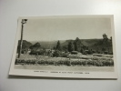 Australia Murray Series N° 4 Garden At Echo Point Katoomba N.s.w. - Other & Unclassified