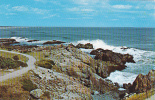 Portion Of The Marginal Way, A Path Along The Ocean At Ogunquit, Maine - Other & Unclassified