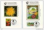 " SALON DU TIMBRE 1994 " Sur 2 Cartes Maximum En Soie  N° 2909 2910. Parfait état. CM - Lots & Serien