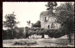 Moulins Ebgilbert Ruines Du Vieux Chateau - Moulin Engilbert