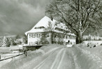 HINTERZARTEN / Schwarzwald - Hotel - Restaurant "ERLENBRUCK" - Im Winter Gesehen  / Vue En Hiver - TBE, Neuve, 2 Scans - Hinterzarten